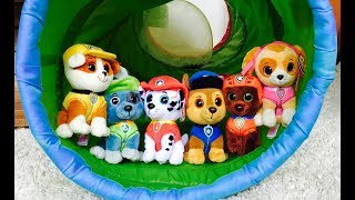 PAW PATROL Toys Skye BIRTHDAY Surprise LOL Doll Opening [upl. by Archibald]