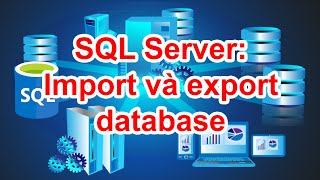 SQL Server  Cách import and export database [upl. by Arjun891]