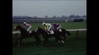 Beverley Races 1973 archive ref EYBE [upl. by Airol411]