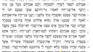 Torah Reading  Genesis Chapter 23 HD [upl. by Ursulina]