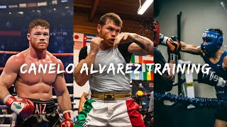 Canelo Alvarez training routine is insane [upl. by Aidyl496]