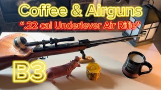 The B3 22 Air Rifle “Novelty Choice Airgun”  Airgun Collection Showcase [upl. by Asilehs]