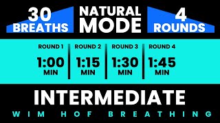 Intermediate Wim Hof Guided Breathing  4 Rounds  30 Breaths  Pure Breathwork No Frequencies [upl. by Antonio323]