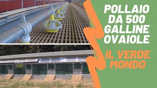 Pollaio da 500 Galline Ovaiole  Il Verde Mondo [upl. by Mariken309]