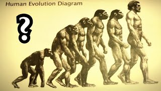 Die harten Fakten über die Evolutionstheorie [upl. by Aneeuqal]