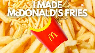 I Made McDonalds Fries [upl. by Yokum145]