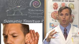 Muscle Tinnitus Is Somatosensory Tinnitus for REAL [upl. by Kela504]