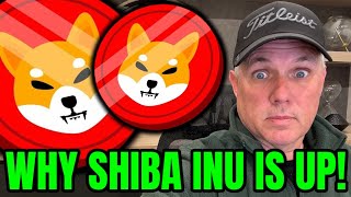 WHY SHIBA INU IS ROCKETING UP FIND OUT NOW [upl. by Bulley295]