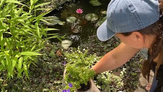 🪴 Patio Planting  How to Make Compost in Place 🪴 [upl. by Ahsikrats]