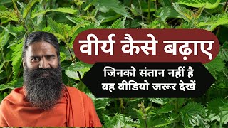 Virya Badhane Ke Upaye  Baba Ramdev [upl. by Anenahs]