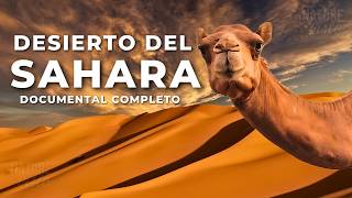 DESIERTO DEL SAHARA  Una Tierra de Extremos  Documental Completo [upl. by Aba]