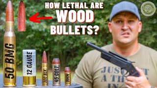 How Lethal Are WOOD Bullets  50 BMG 12 Gauge 9mm amp More [upl. by Shum]