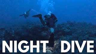 Night Dive Exploring Molasses Reef in Key Largo Florida [upl. by Tizes]