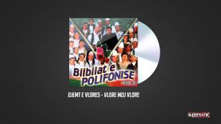 DJEMT E VLORES  VLORE MOJ VLORE  Official Audio [upl. by Donavon]