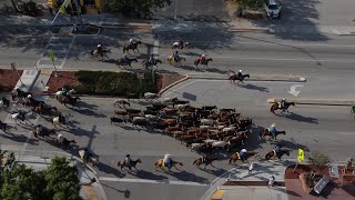 2023 Immokalee Cattle Drive and Jamboree [upl. by Nicolis]