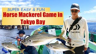 Horse Mackerel Fishing in Tokyo Bay Japan  Super Easy and Fun [upl. by Schaab]