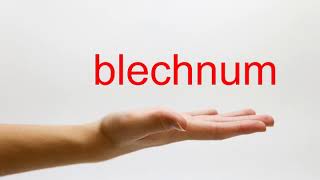 How to Pronounce blechnum  American English [upl. by Aknaib680]