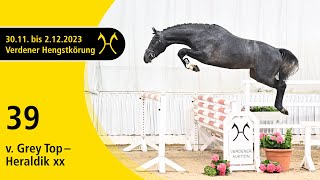 Verden Stallion Licensing 2023  Jumping  Dec 12 No 39 Stallion by Grey Top  Heraldik xx [upl. by Henig499]