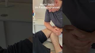 Faszientherapie bei Schmerzen in der Leiste [upl. by Novehs]