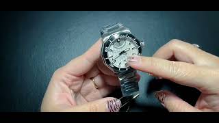 Waldhoff  Seawolf diver watch automatic Germany Brand Miyota 9 sapphire [upl. by Anay]