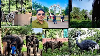 Hyderabad Nehru Zoological Park  Zoo park  Complete Tour  31 July 2021  Full HD 1080 Video [upl. by Inava]