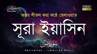 সূরা ইয়াসিন يٰس  মন জুড়ানো তেলাওয়াত  sura yasin bangla  recited by ismail an nouri [upl. by Ominoreg86]