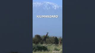 Climb the highest mountain in Africa  Kilimanjaro  Magical Africa [upl. by Pros]