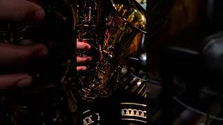 Ishimori Woodstone ALTO New Vintage  Phet Sax [upl. by Enaelem]