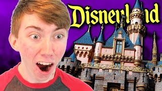 DISNEYLAND vs DISNEY WORLD [upl. by Skantze]