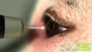 TONOVET tonometer slow motion [upl. by Enahpets]