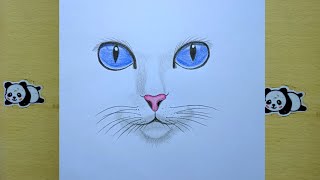 How To Draw Cat Face For Beginners Easy Steps art video [upl. by Cerf802]