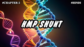 Chapter 2  Metabolism Of Carbohydrates Part11  HMP Shunt [upl. by Nnailuj]