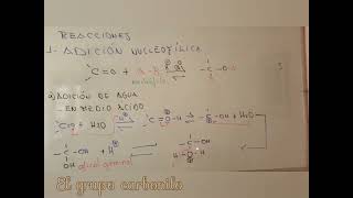 El grupo carbonilo Adición nucleofílica química Orgánica UMSA LA MEJOR [upl. by Burck37]