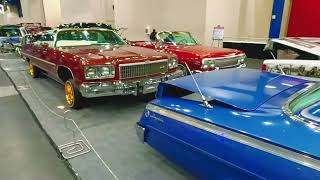 Houston Lowriders Shorty’s Hydraulics Showcase [upl. by Gallagher930]