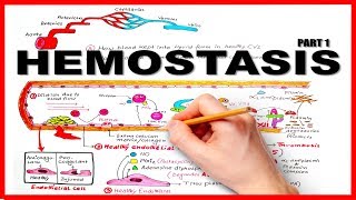 HEMOSTASISBLOOD CLOTTING MECHANISM part 1Natural Anticoagulants [upl. by Annirak]