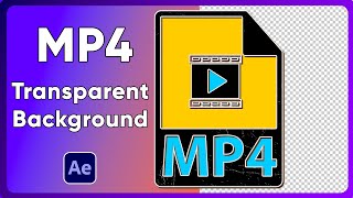 How to Export Video in After Effects Ep16 MP4 amp Transparent Background [upl. by Chrisy]