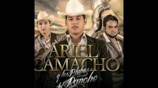 Hueso Duro  Ariel Camacho Y Los Plebes Del Rancho En Vivo FP Jesus Ojeda 2013 [upl. by Yetta]