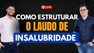 COMO ESTRUTURAR O LAUDO DE INSALUBRIDADE [upl. by Daveen]