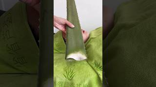 NATURAL ALOEVERA GEL FOR FACE beauty aloevera face natural facepackforfairskin youtubeshorts [upl. by Berey]