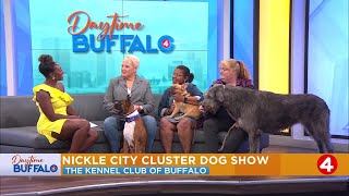 Daytime Buffalo Nickel City Cluster Dog Show The Kennel Club of Buffalo [upl. by Prisilla]