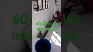 60×60 tiles installation shorts video [upl. by Nylcaj]