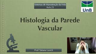 Histologia da Parede Vascular [upl. by Eiramalegna]