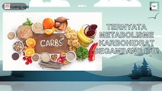 DARI GLIKOLISIS SAMPE SIKLUS KREBS LENGKAP  METABOLISME KARBOHIDRAT PART 3 [upl. by Htabmas660]