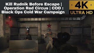 Kill Rudnik Before Escape  Call of Duty Black Ops Cold War Part 3  Red Circusgameplay viral😱 [upl. by Janifer]