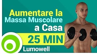 Esercizi da Fare a Casa per Aumentare la Massa Muscolare  Allenamento Completo [upl. by Kristy]