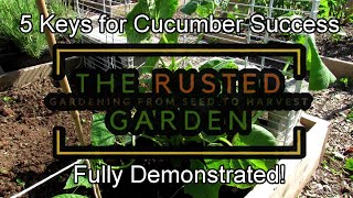 Focus on These Fundamentals To Be a Successful Gardener in Any Climate [upl. by Rosenblast]