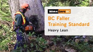 BC Faller Training Standard  Heavy Lean 12 of 17 [upl. by Gyimah324]