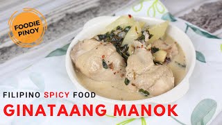 Spicy Ginataang Manok  Chicken in Coconut Milk Easy Filipino Recipe [upl. by Binny705]