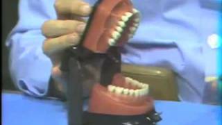 Dental Anatomy Introduction to Waxing Bench Setup [upl. by Leigha]