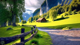 Relaxing Music With Beautiful Nature Videos 🍀 Reduce Stress Anxiety amp Depression 🌿 Soul Healing [upl. by Hoopen]